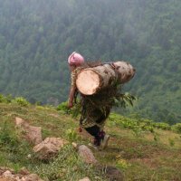 Rize’de Kadın Olmak